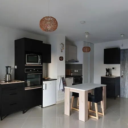Apartment Grand A 300m De La Dans Calme - Seule Piece